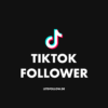 TikTok Follower kaufen
